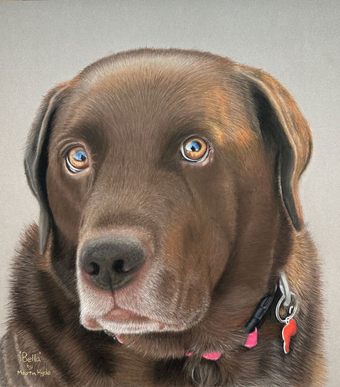 Dog Portrait Commissions Devon