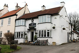 The Blackwell Ox Carlton
