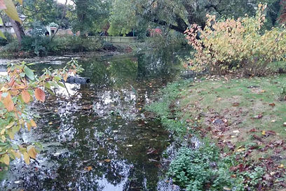 Residential Drainage Strategy