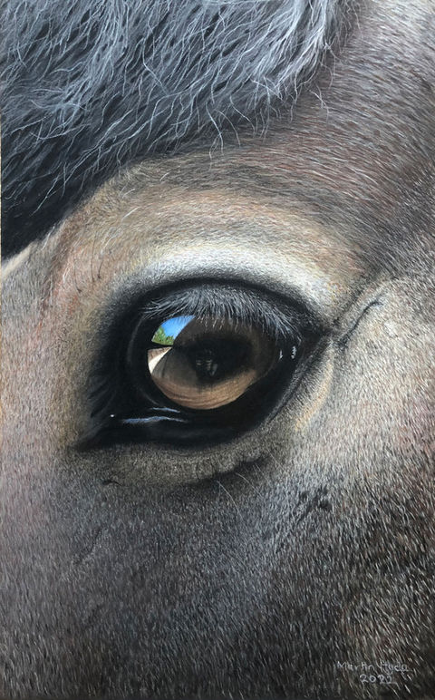 Pet Portrait Commissions Devon