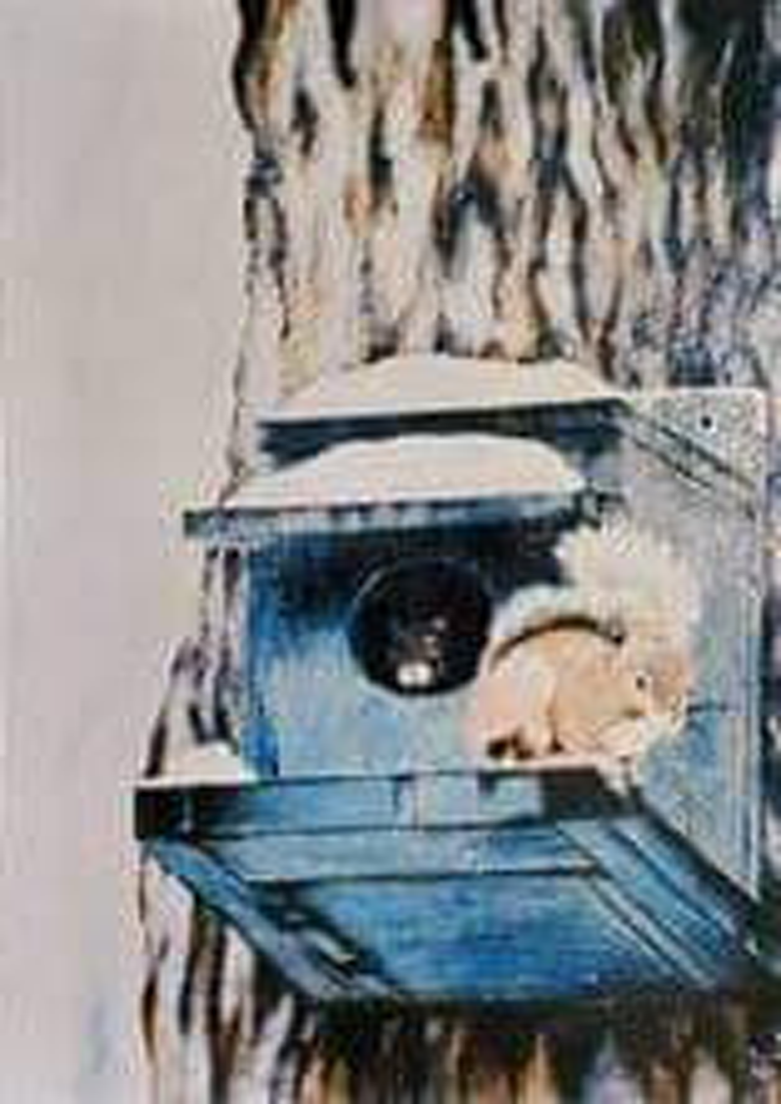 Landscapes and Seascapes