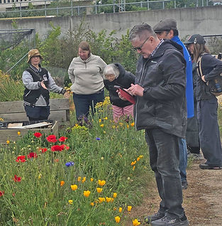 Group of people observing colorful flowers in a garden, man takes notes.