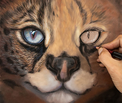 Wildlife painting lessons