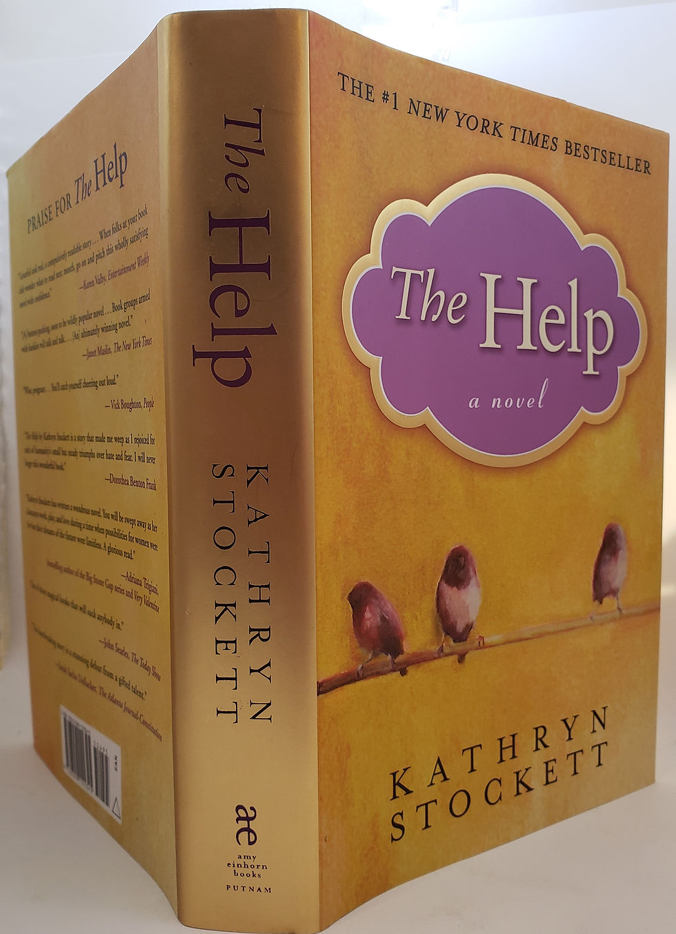 Thumbnail: THE HELP, a novel by Kathryn Stockett