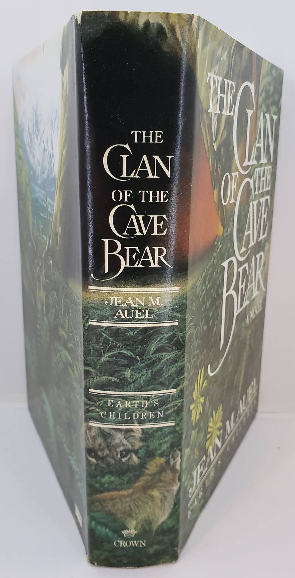 Thumbnail: THE CLAN OF THE CAVE BEAR, a novel by Jean M. Auel