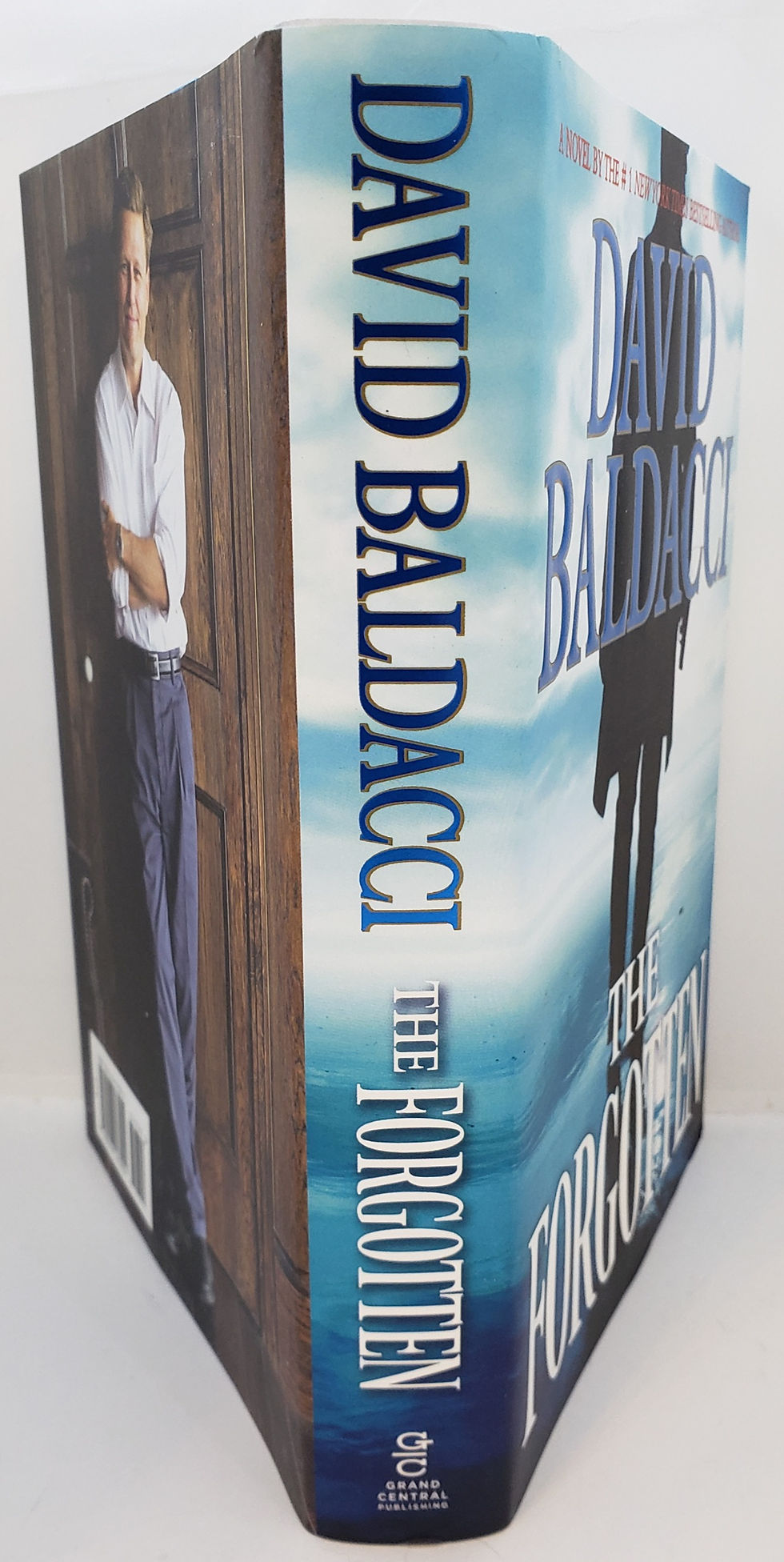 Thumbnail: THE FORGOTTEN, a novel by David Baldacci