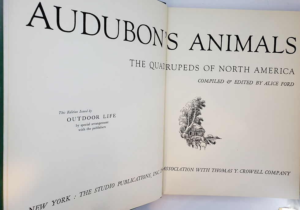 Thumbnail: Audubon's Animals: The Quadrupeds of North America by Alice Ford
