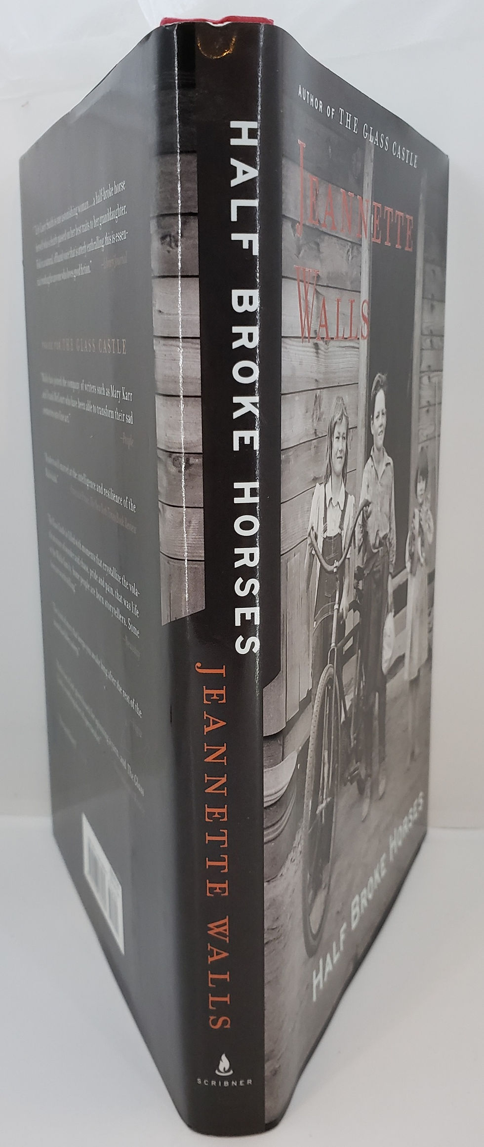 Thumbnail: HALF BROKE HORSES by Jeannette Walls