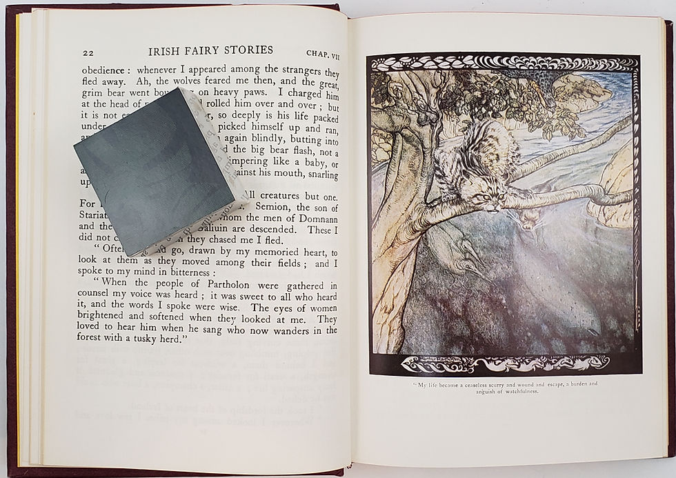 Thumbnail: IRISH FAIRY TALES by James Stephens