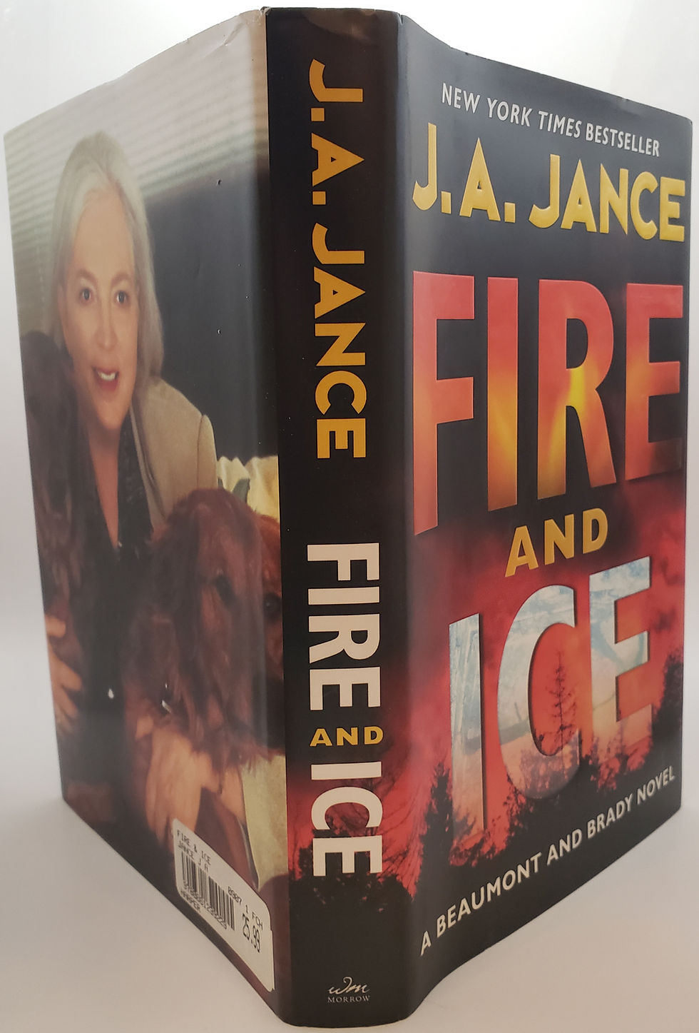 Thumbnail: FIRE AND ICE, a Beaumont and Brady novel by J.A. Jance