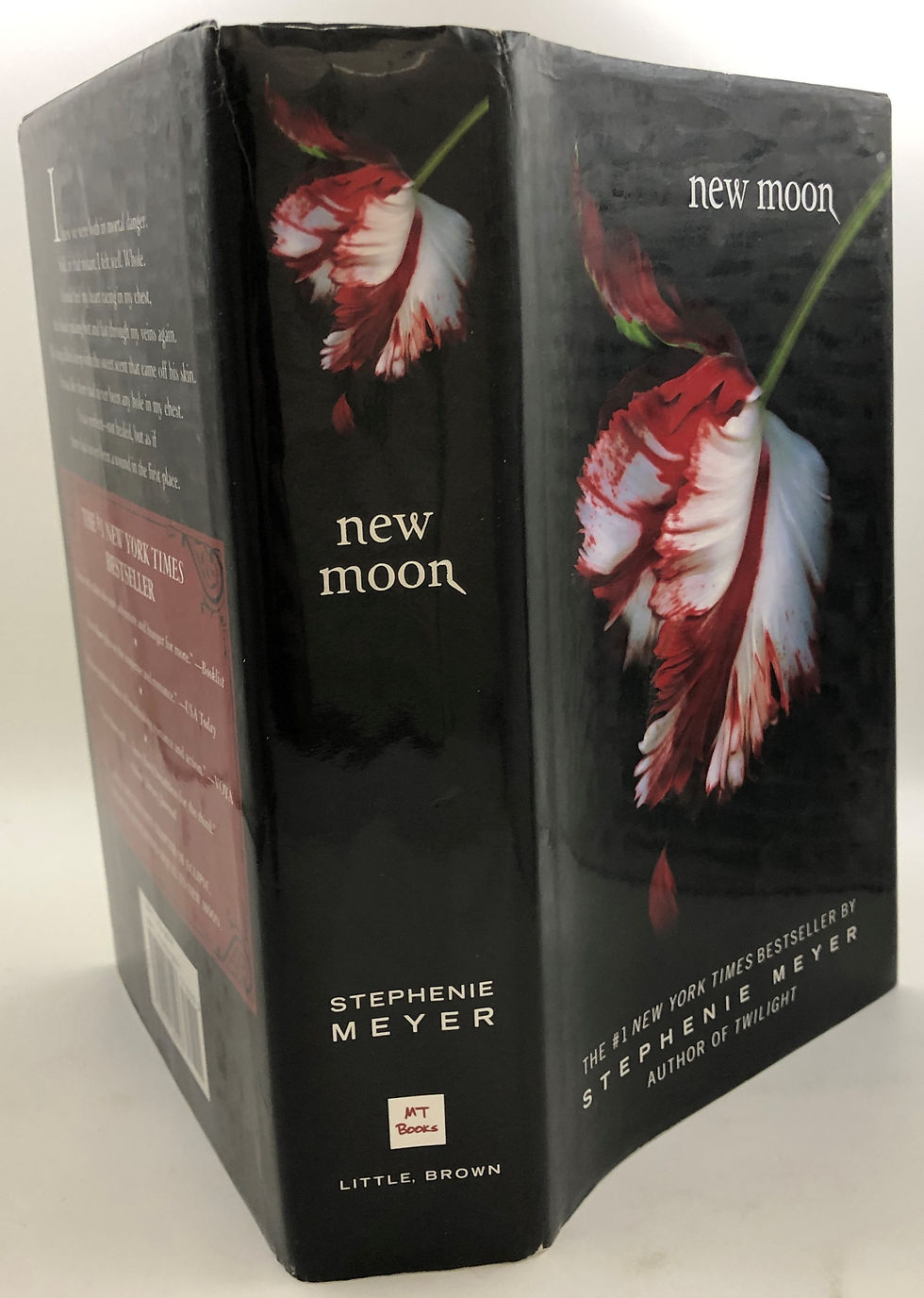 Thumbnail: new moon by Stephenie Meyer