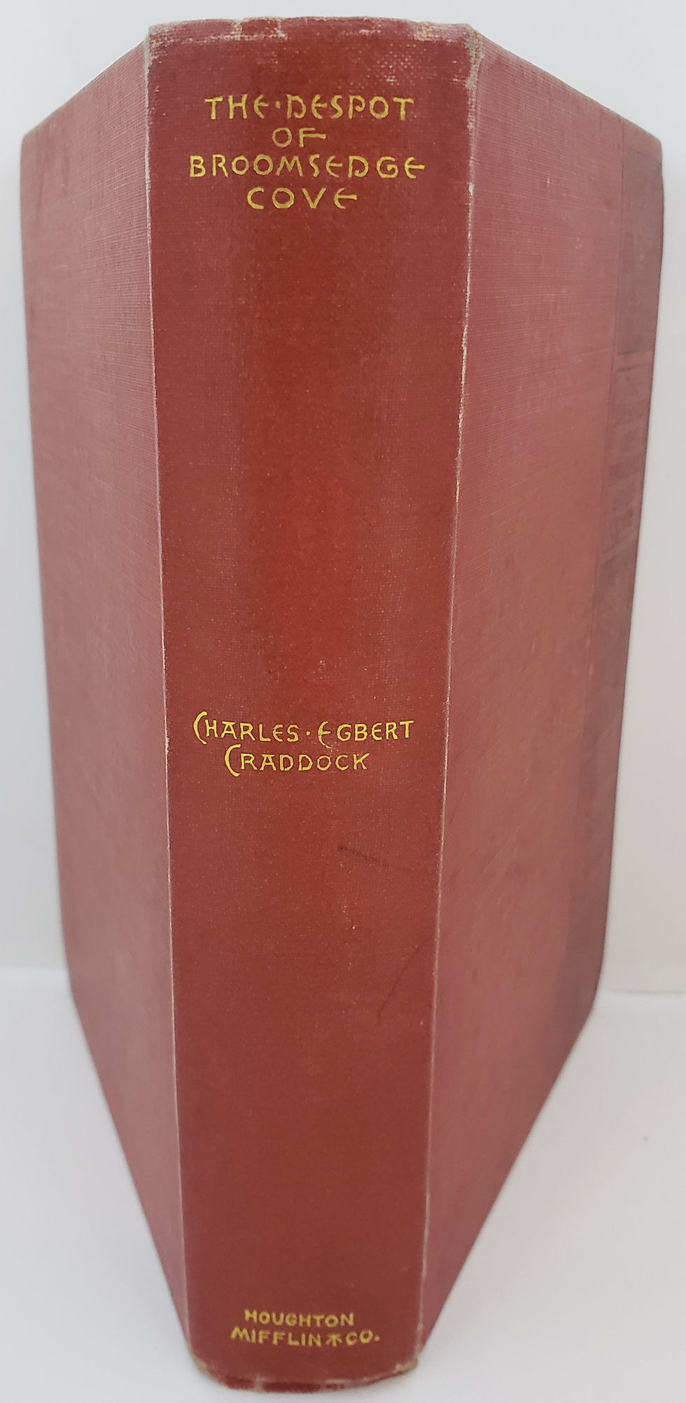 Thumbnail: The Despot of Broomsedge Cove by Charles Egbert Craddock