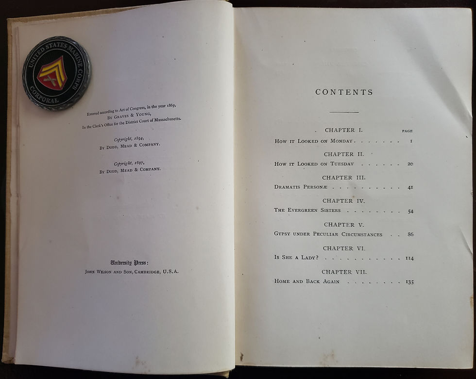 Thumbnail: GYPSY'S YEAR AT THE GOLDEN CRESCENT by Elizabeth Stuart Phelps