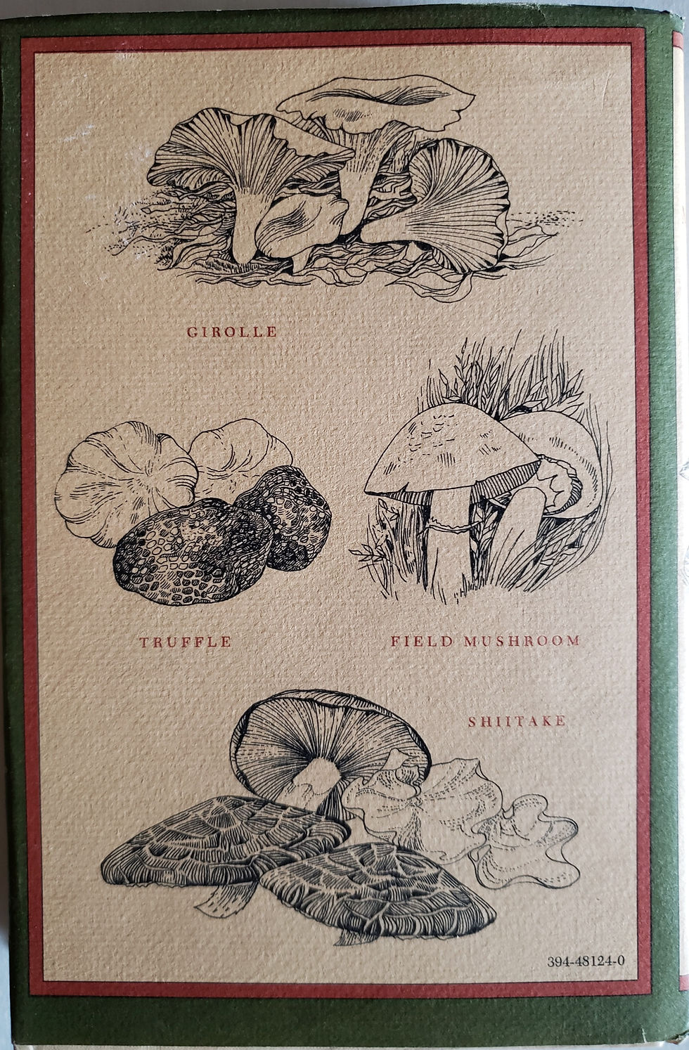 Thumbnail: THE MUSHROOM FEAST, a celebration of all edible fungi... by Jane Grigson