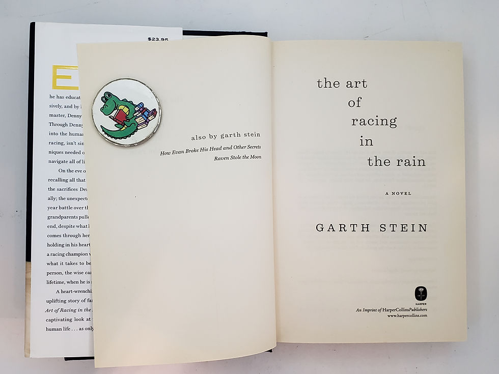 Thumbnail: THE ART OF RACING IN THE RAIN by Garth Stein