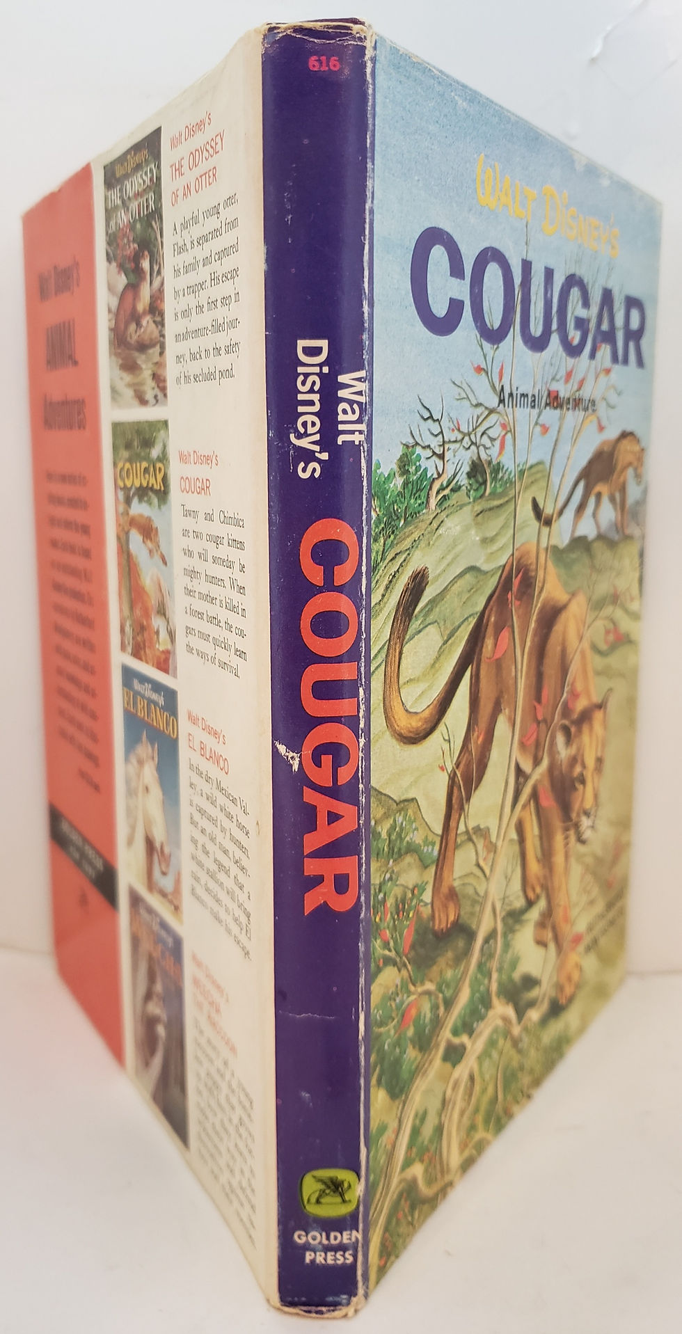 Thumbnail: WALT DISNEY'S COUGAR by Rutherford Montgomery
