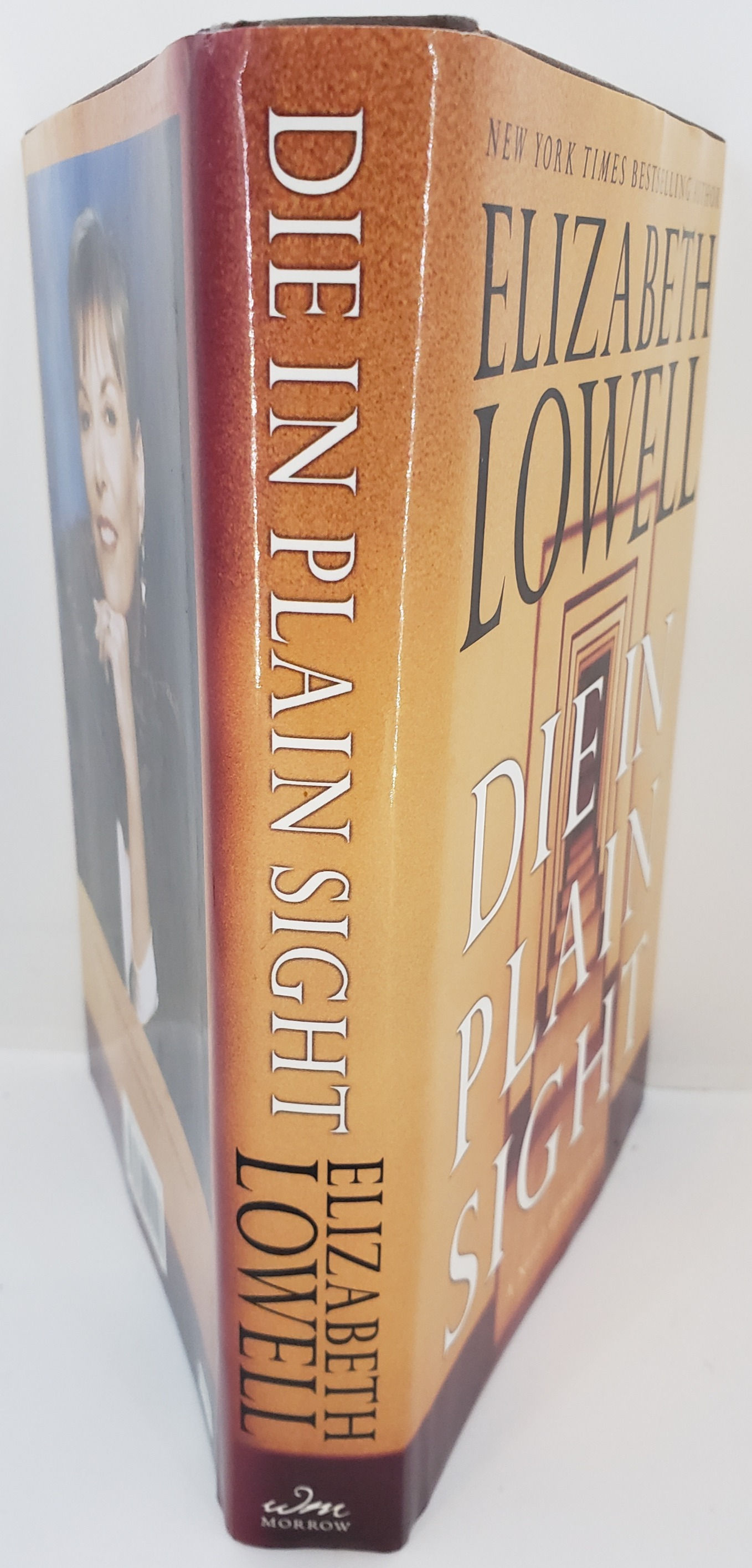 DIE IN PLAIN SIGHT by Elizabeth Lowell