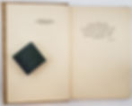 Thumbnail: THE ARCHITECTURE and the GARDENS of the SAN DIEGO EXPOSITION by Bertram Goodhue