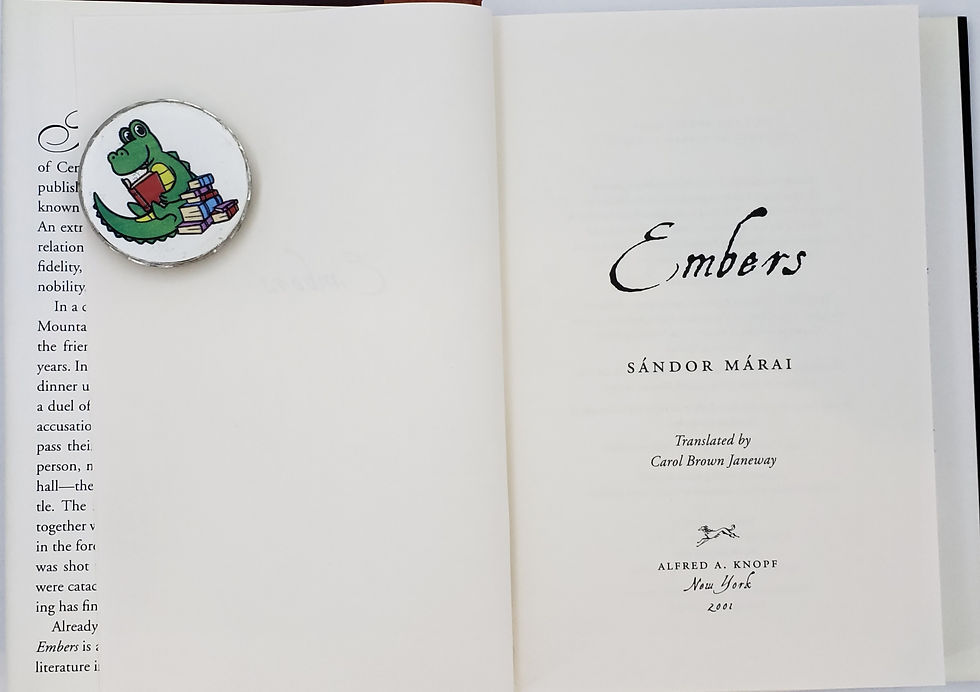 Thumbnail: EMBERS by Sandor Marai