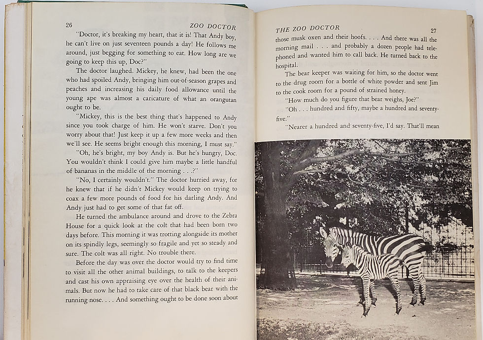 Thumbnail: ZOO DOCTOR by William Bridges