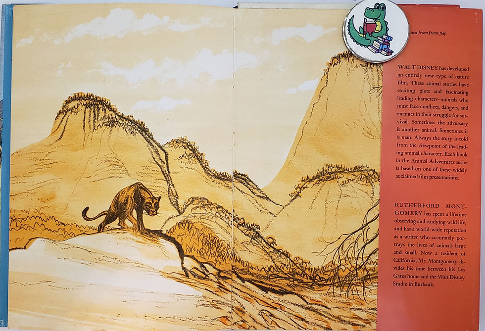 Thumbnail: WALT DISNEY'S COUGAR by Rutherford Montgomery