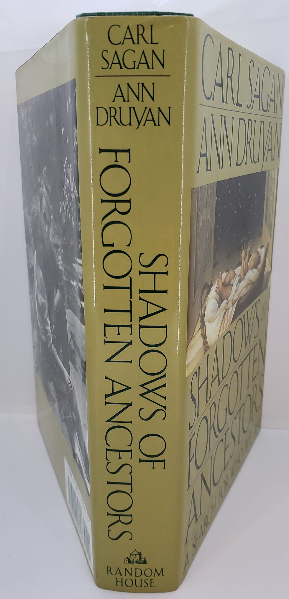 Thumbnail: Shadows of Forgotten Ancestors: A Search fo Who We Are by Carl Sagan