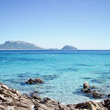 Ville singole di lusso in vendita a Baia Sant'Anna