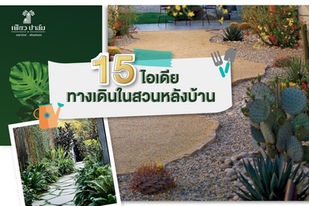 15 ไอเดีย ทางเดินสวนหลังบ้าน