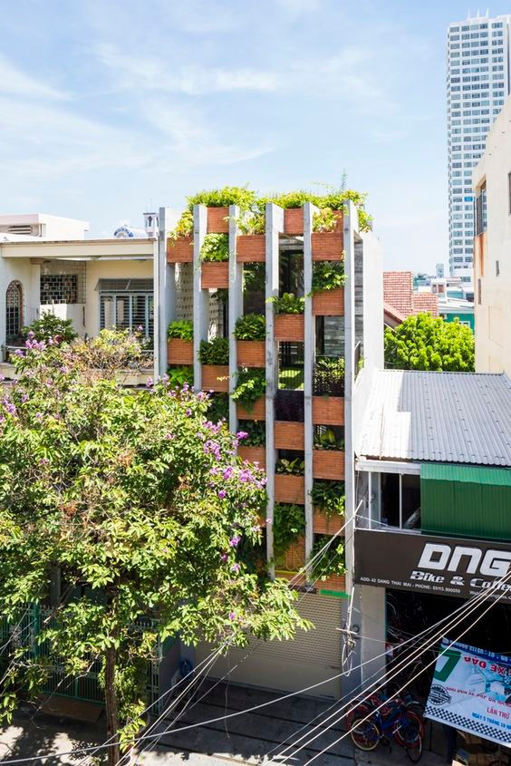 ฟาสาจสไตล์ECO แค่มองก็ชื่นใจ