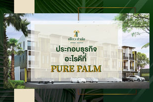 ประกอบธุรกิจอะไรที่ Pure Palm ดี?