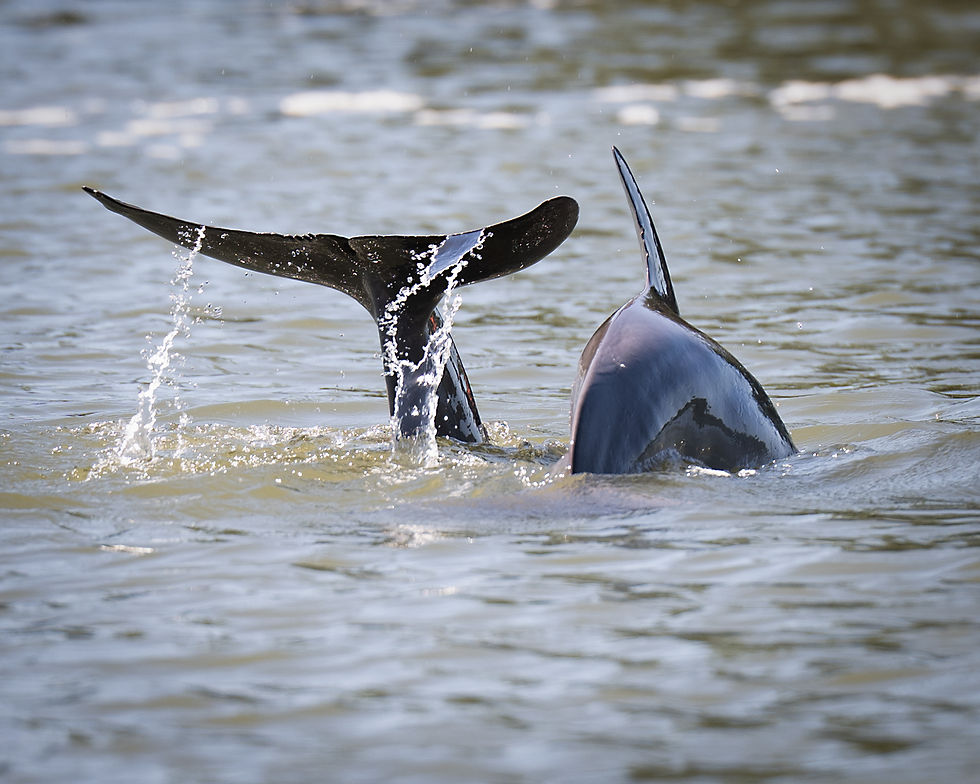 Christie & Duane Hebert Weekend July 25_26th2024 (NZ09)-03316.jpg