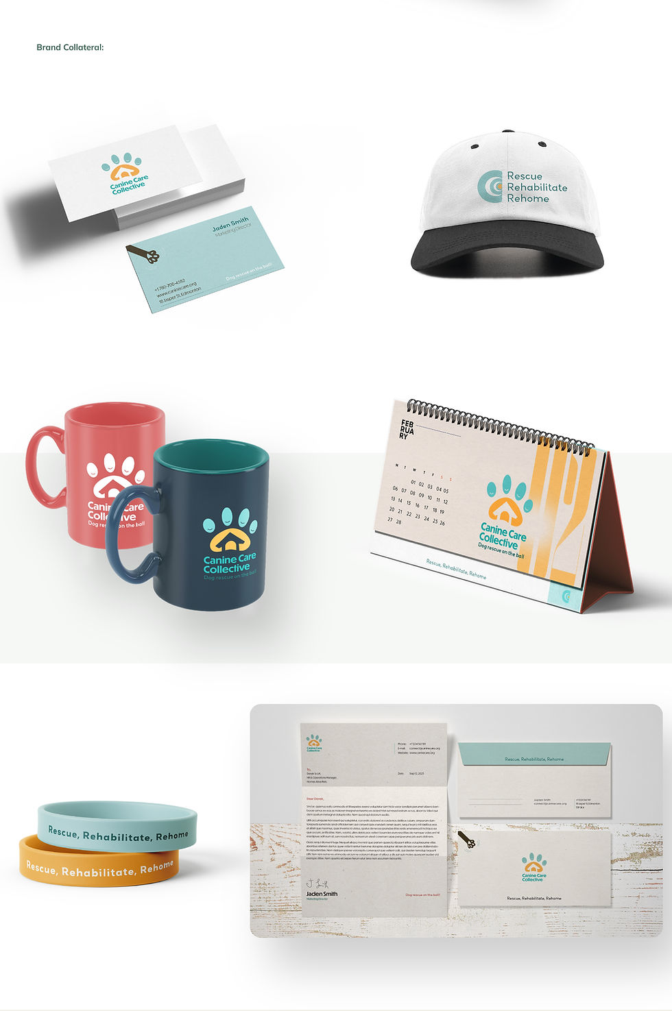 CCC 1200px CaseStudy-08.jpg