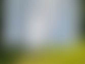 White lace-edged split skirt hanging outdoors, sunlight on the fabric with green lawn and hedge blurred behind.