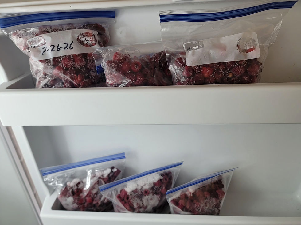 Freezer shelf with zip bags of frozen raspberries, some Great Value labeled; one bag marked 7-26-26.