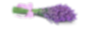 Untitled design (7).png