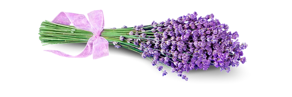 Untitled design (7).png