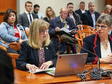 Sharon in committee.jpg