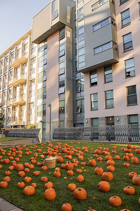 FallFestival2024-4.jpg