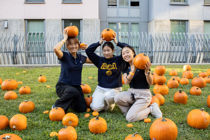 FallFestival2024-8.jpg