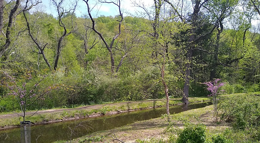 There is nothing more powerful, than women rising stronger.png