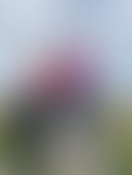 P7 Transition and John Muir Trust Discovery Award - 2023