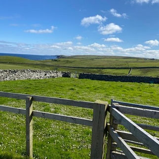 Archival Stories: The Fight for Galson Farm, Part 1