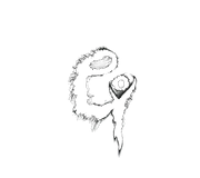 logo of gi_edited.png