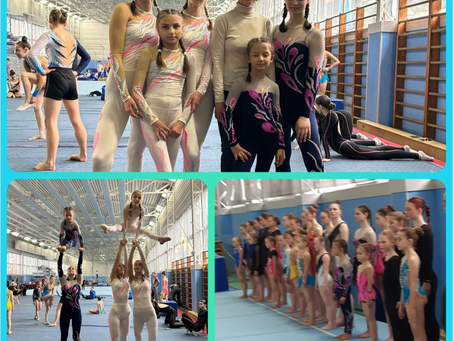 Чемпіонат з акробатики