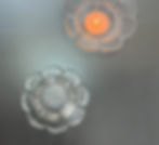 Thumbnail: Mäntsälän Lasisepät, Terälehti (Pedal) Crystal Candleholder by Pe