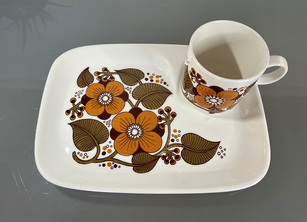 縮圖：Figgjo Flint Norway Solveig TV Set