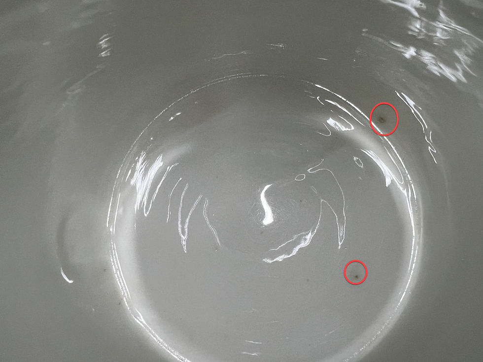 縮圖：Rörstrand手繪 藍莓 (Blåbär) 水壺