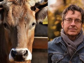 Q&A with George Monbiot: ‘It is time we became food-numerate’ 