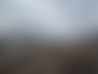 A Hidden Gem in the Rockies: The Three Forks Ranch Experience