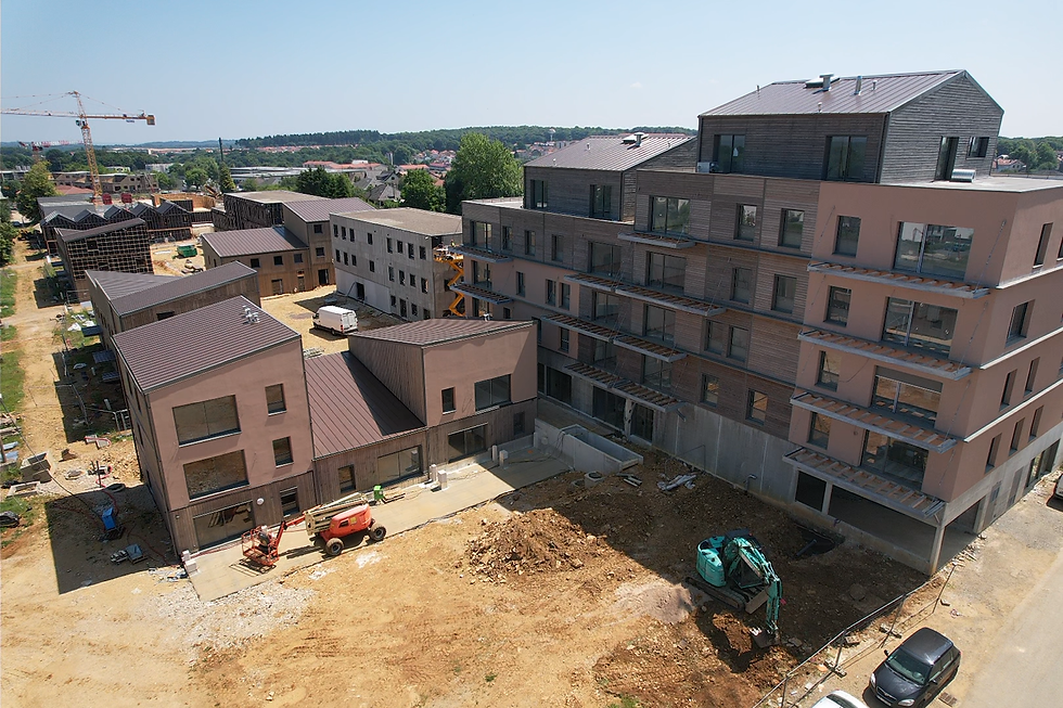 Les Constructeurs du bois